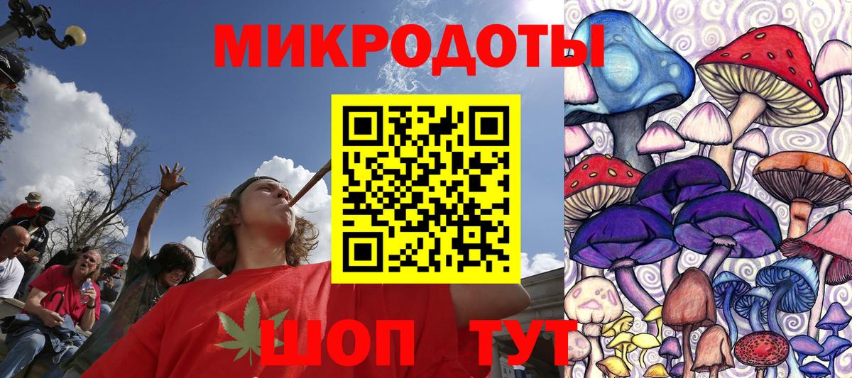 Галлюциногенные грибы Cubensis Норильск