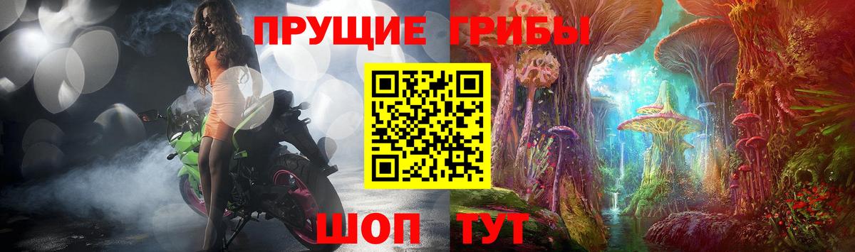 где купить   Галлюциногенные грибы MAGIC MUSHROOMS  Псилоцибиновые грибы GOLDEN TEACHER  Вход с VPN  Норильск 